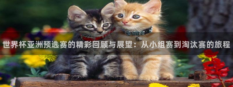 世界杯对阵表：世界杯亚洲预选赛的精彩回顾与展望：从小组赛到淘汰赛的旅程