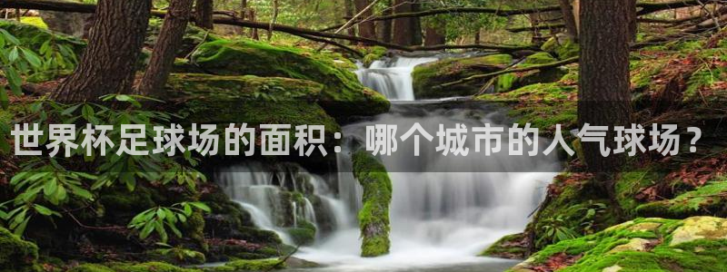 2026世界杯直播：世界杯足球场的面积：哪个城市的人气球场？