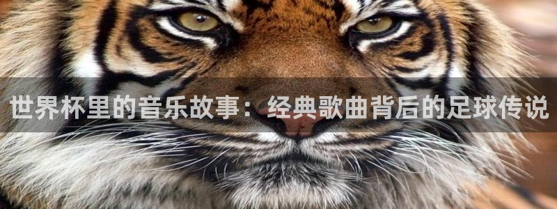 世界杯亚洲区预选赛：世界杯里的音乐故事：经典歌曲背后的足球传说