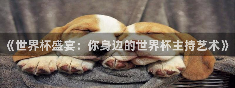 世界杯决赛预测：《世界杯盛宴：你身边的世界杯主持艺术》