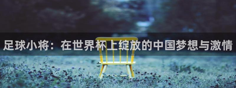 世界杯2026预选赛：足球小将：在世界杯上绽放的中国梦想与激情
