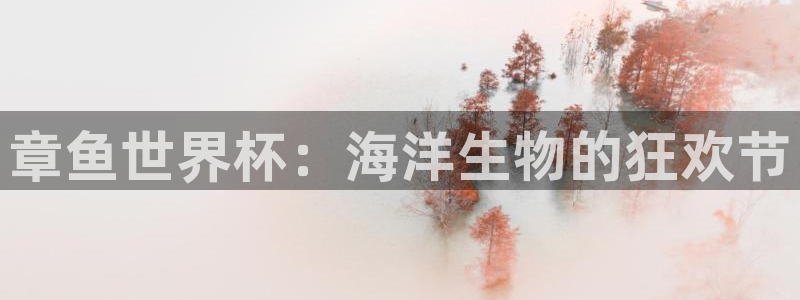 2026世界杯小组赛赛程时间表：章鱼世界杯：海洋生物的狂欢节