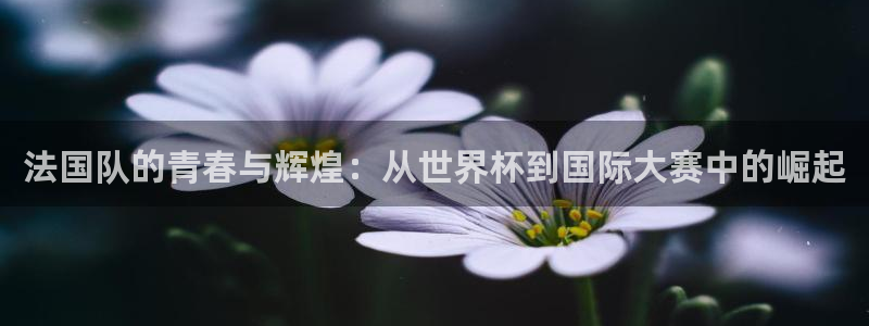 世界杯在线直播：法国队的青春与辉煌：从世界杯到国际大赛中的崛起
