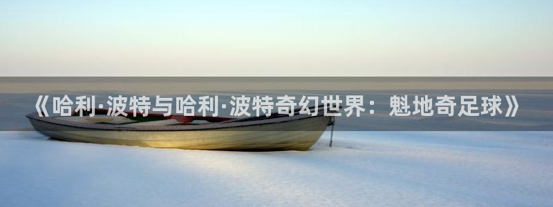世界杯2026赛程：《哈利·波特与哈利·波特奇幻世界：魁地奇足球》