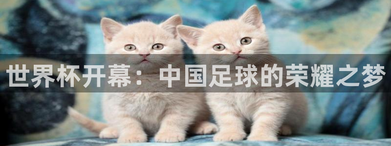 世界杯预选赛规则：世界杯开幕：中国足球的荣耀之梦