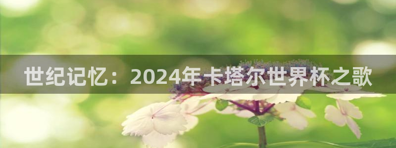 2026世界杯德国队阵容：世纪记忆：2024年卡塔尔世界杯之歌
