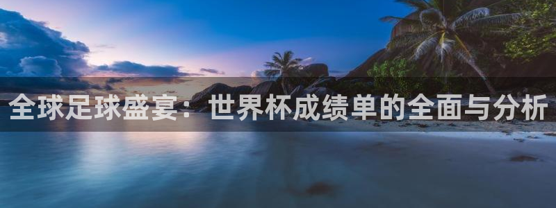 2006年世界杯冠军：全球足球盛宴：世界杯成绩单的全面与分析