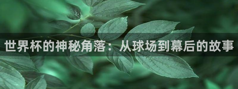 世界杯亚洲区预选赛赛程表：世界杯的神秘角落：从球场到幕后的故事
