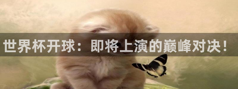 世界杯欧洲预选赛：世界杯开球：即将上演的巅峰对决！