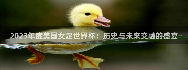 世界杯预选赛排名：2023年度美国女足世界杯：历史与未来交融的盛宴