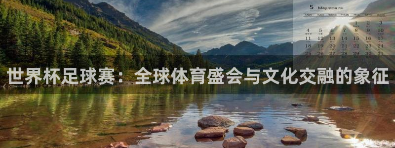 世界杯直播观看：世界杯足球赛：全球体育盛会与文化交融的象征